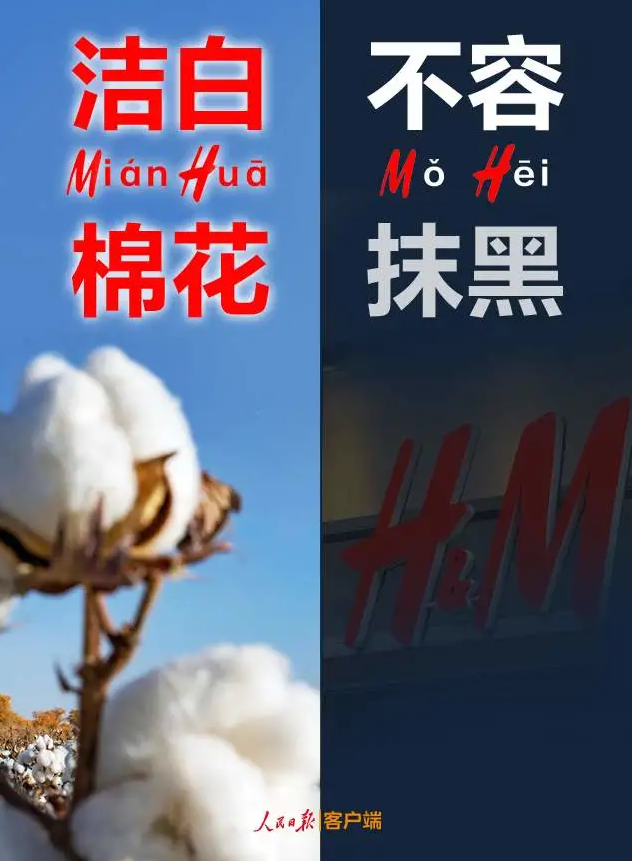 潔白棉花，不容抹黑，花榮華與華一起